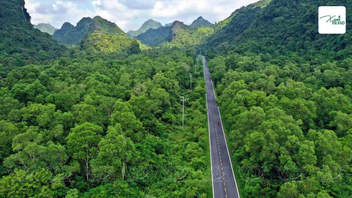 duong trekking xuyen vuon quoc gia cat ba