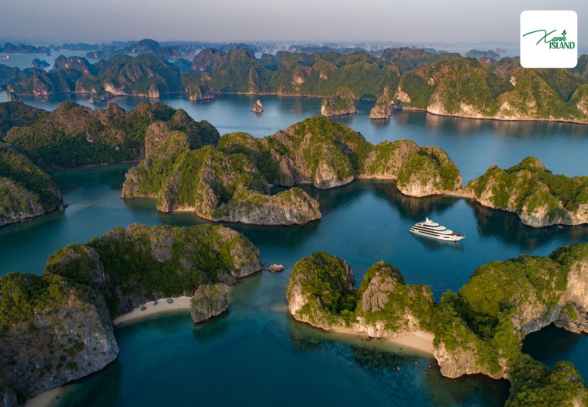 hinh anh thuc te dao cat ba